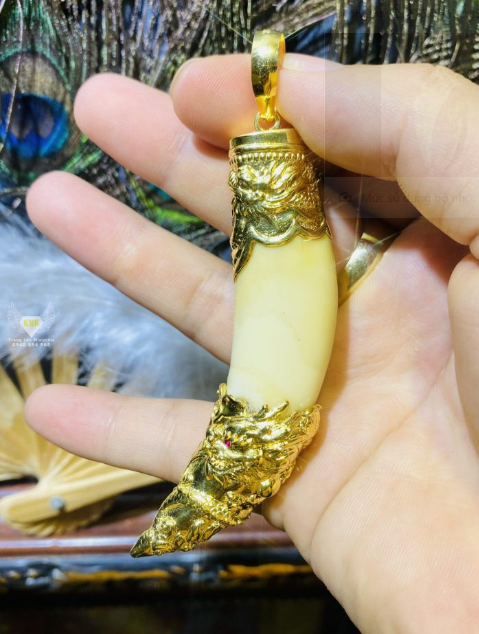 Mặt dây chuyền móng cọp biểu tượng của sức mạnh và sự kiêu hãnh
